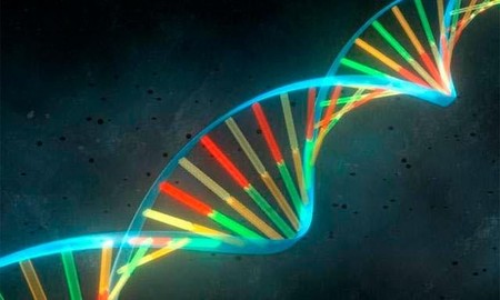 El reloj biológico que mide la edad de nuestros órganos