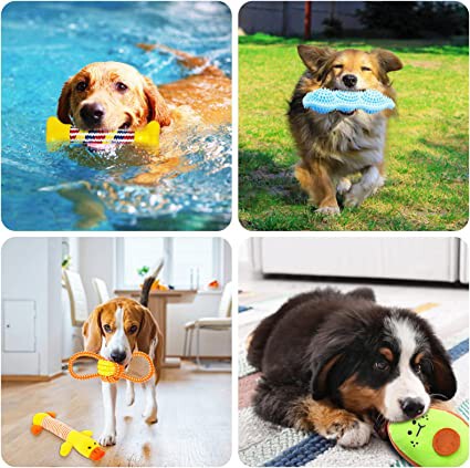 Jotol Juguetes Para Perros
