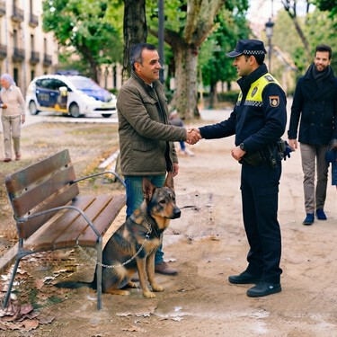 Confirmado por la ley de bienestar animal: te están metiendo miedo sobre las multas por usar correa de paseo o no con tus animales 