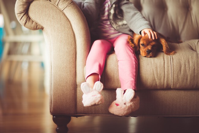 Hand Person Girl Photography Home Dog 57126 Pxhere Com