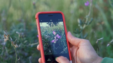 Esta app te permite reconocer cualquier especie silvestre