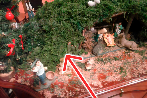 Musgo Heno Ilegal Mexico Alternativas Xataka