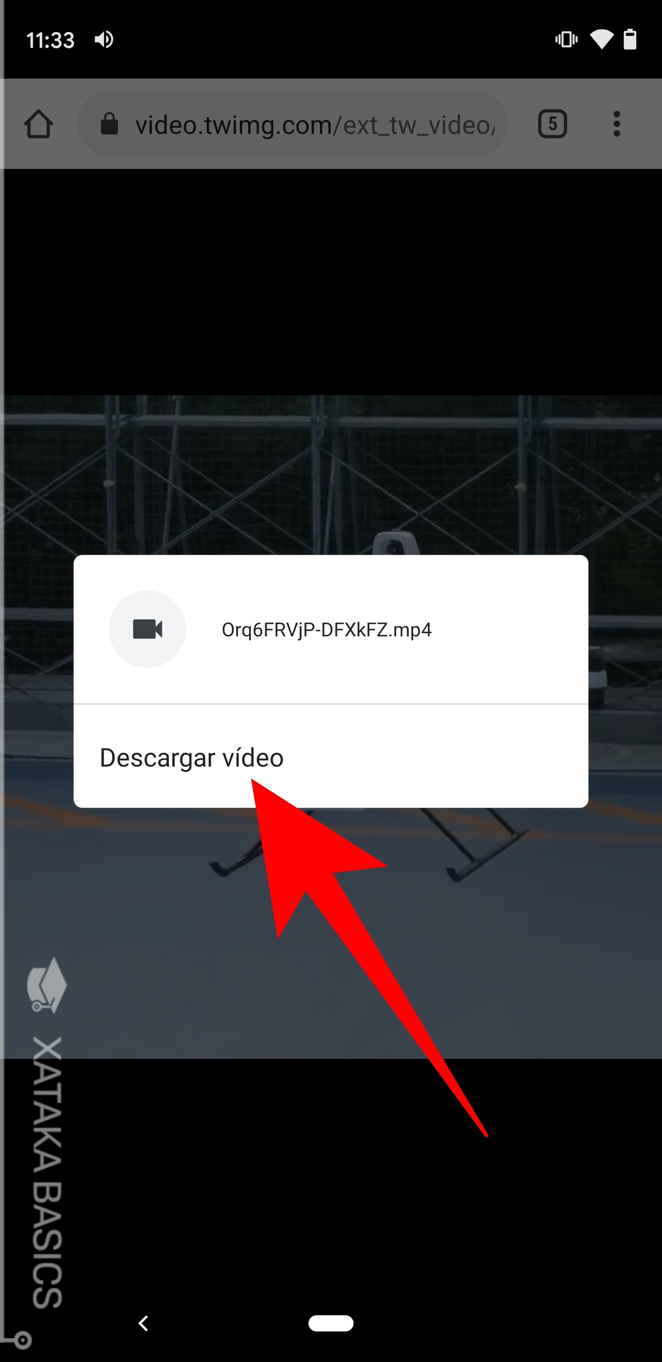 Download Failure: Jdownloader & Erothots.Co - 9bwtjj6
