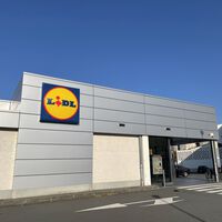 Hoy ha llegado a Lidl el cepillo de vapor compacto para llevar la ropa impecable sin tener que sacar la plancha