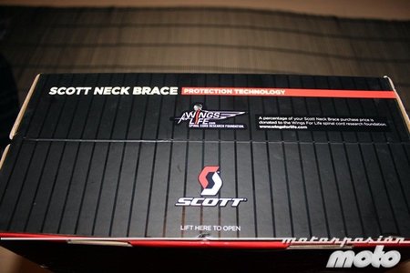 Fundación Wings of live