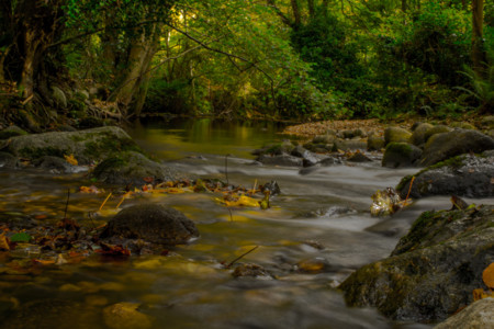 Enniskerry