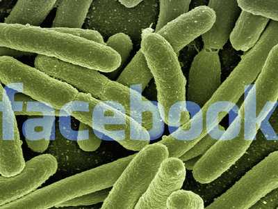 Facebook e Instagram ocultarán las publicaciones antivacunas 