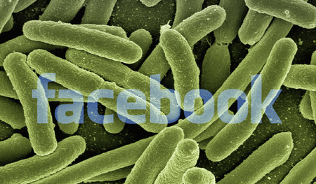Facebook e Instagram ocultarán las publicaciones antivacunas