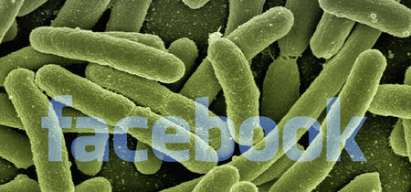 Facebook e Instagram ocultarán las publicaciones antivacunas 