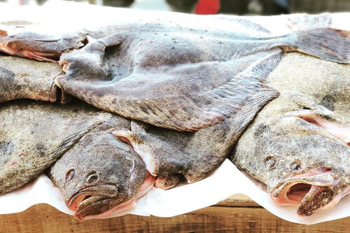 Rodaballos