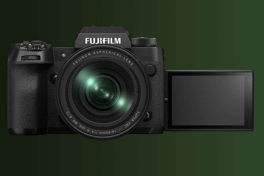 A curious meerkat pops up