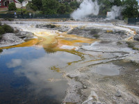 Rotorua: Cultura maorí y lagos de azufre en la Isla Norte de Nueva Zelanda 
