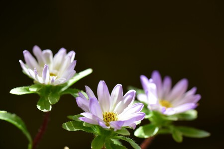 Pexels Soc Nang D Ng 2150345854 34239599