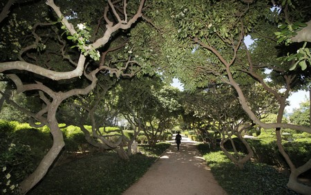 Los jardines del Palacio de Marivent en Mallorca abiertos al público desde hoy