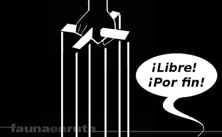 Indultos a condenados por delitos contra la seguridad del tráfico