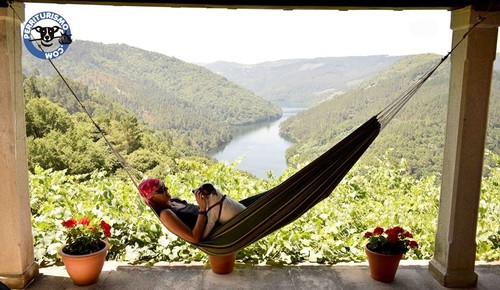 Llévate a tu perro de vacaciones a Galicia. Te contamos a dónde