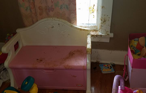 El graciosísimo relato de un padre al descubrir a su hija cubierta de caca de pies a cabeza