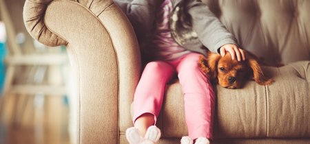 11 peligros que hay que evitar en una casa con niños  