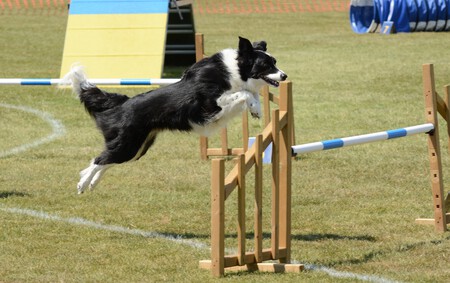 Agility