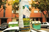 ¿Ser denunciante profesional tiene futuro?