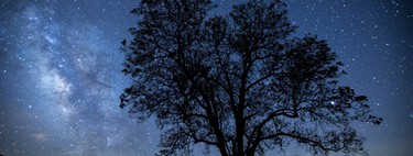 Stephen Hawking: "Cada uno de nosotros vive solo un breve periodo de tiempo, y solo visitamos apenas una minúscula parte del universo" 