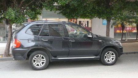 BMW_X5_Palo-2.jpg