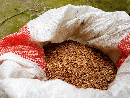 Todo sobre el arroz rojo: propiedades, beneficios y su uso en la cocina