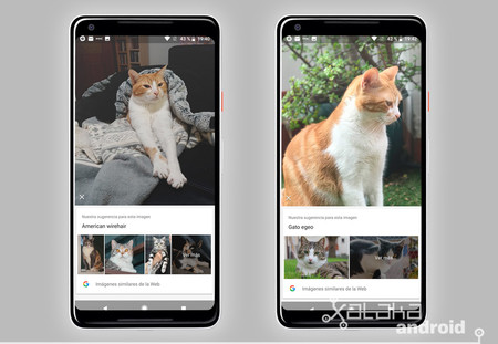Google Lens Analisis
