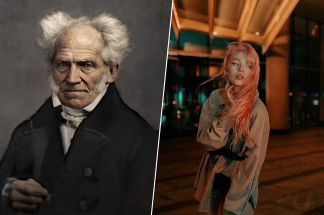 La Envidia Segun Schopenhauer