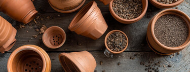 La lluvia puede ser el gran enemigo de tus plantas en otoño: cómo evitar que se ahoguen