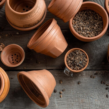 La lluvia puede ser el gran enemigo de tus plantas en otoño: cómo evitar que se ahoguen