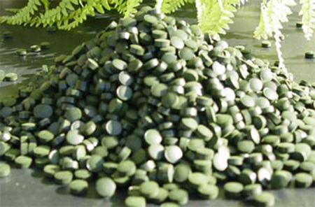 Alga espirulina dosis para bajar de peso
