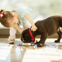 ¿Tu hijo ha pedido una mascota estas Navidades? Antes de cumplir sus deseos, medita la idea y piensa en la adopción