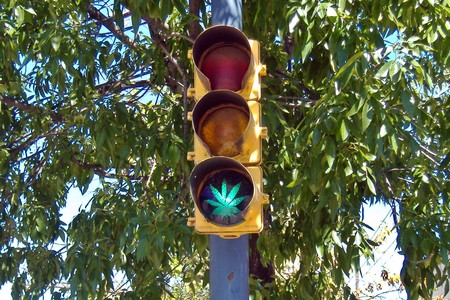 La marihuana reduce un 11% los accidentes mortales, según un estudio de la Universidad de Columbia