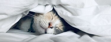 Los beneficios de las siestas y cómo hacerlas bien