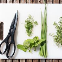 Muchas tijeras de cocina tienen una parte dentada que no está de adorno: te van a ahorrar mucho tiempo y esfuerzo 