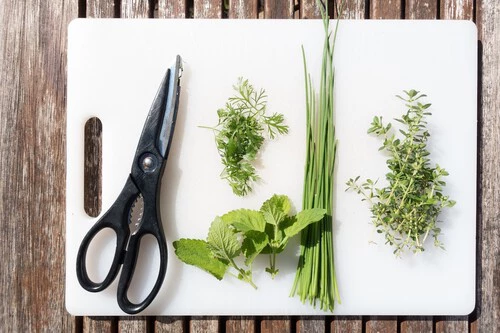 Scissors Herb Plant Cutting Board Vegetable Parsley 1620521 Pxhere Com