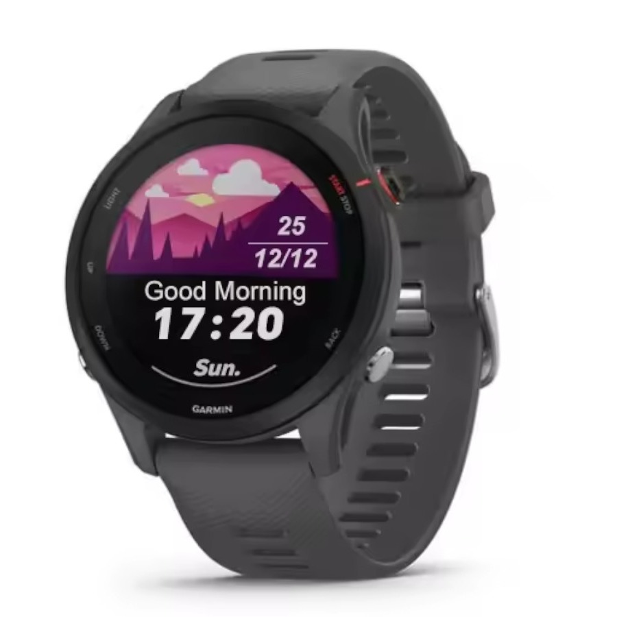 Garmin Forerunner 255 (46 mm)
