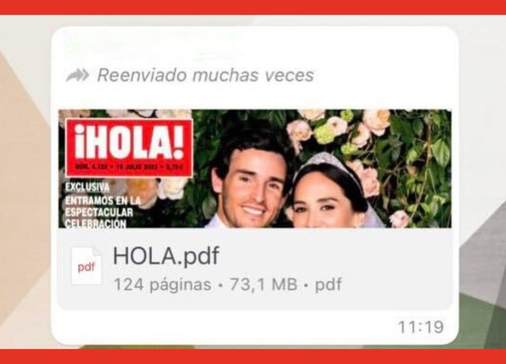 HOLA quiere que Meta intervenga WhatsApp por la filtración de la boda de Tamara Falcó. No funciona así