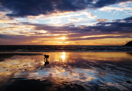 Siete consejos que te permitirán mejorar la calidad de tus fotografías en la playa