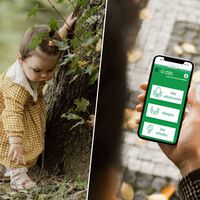 Los recién nacidos pueden adoptar un árbol gratis en Madrid: así lo he hecho yo desde el móvil