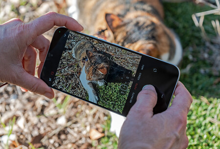 Nothing Phone 4a Pro