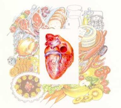 Corazon sano