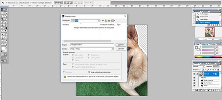 Telegram Stickers Png