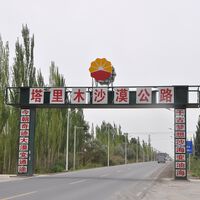 China creó un bosque de la nada para lograr lo imposible: una carretera de 550 km que atraviesa todo un desierto