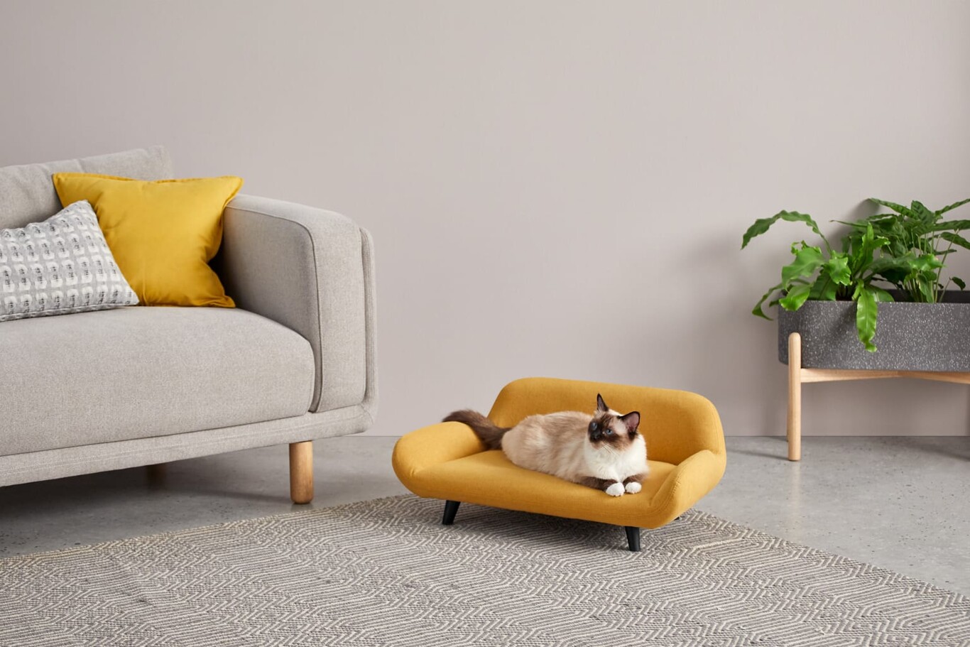 Los mejores muebles y accesorios para gatos