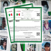 La CURP dejaría de ser solo una identificación: ahora podría activar alertas por desaparición 