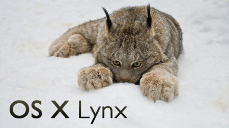 OS X 10.9 podría llegar antes de lo esperado