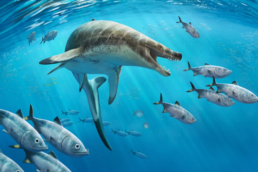 Hemos encontrado los restos de un nuevo lagarto marino: un depredador cretácico 