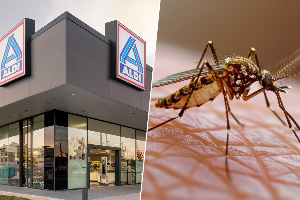 Llega a Aldi el sábado 11 de julio (y por menos de 10 euros) este invento para acabar con los insectos en casa